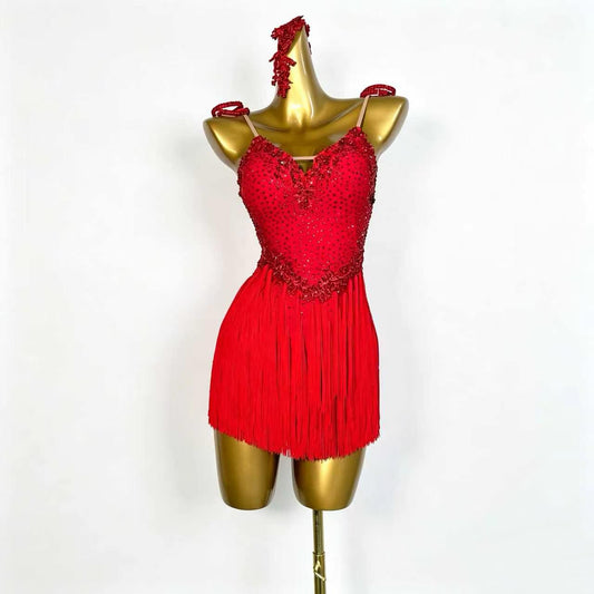Custom Stage Shimmer Fringe Latin Competition Dress