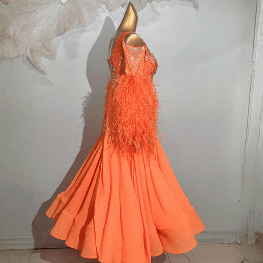 Customisable Feather Sleeve Crystal Ballroom Dance Competition Dress