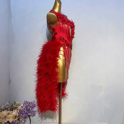 Custom Red Ostrich Feather Latin Competition Dress