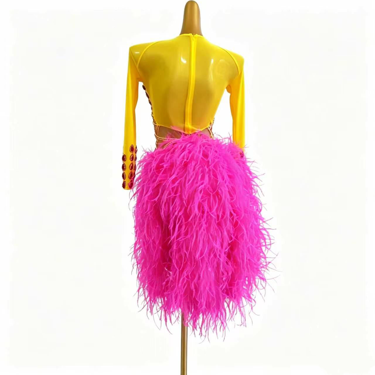 Custom Long Sleeve Feather Fringe Latin Competition Dress