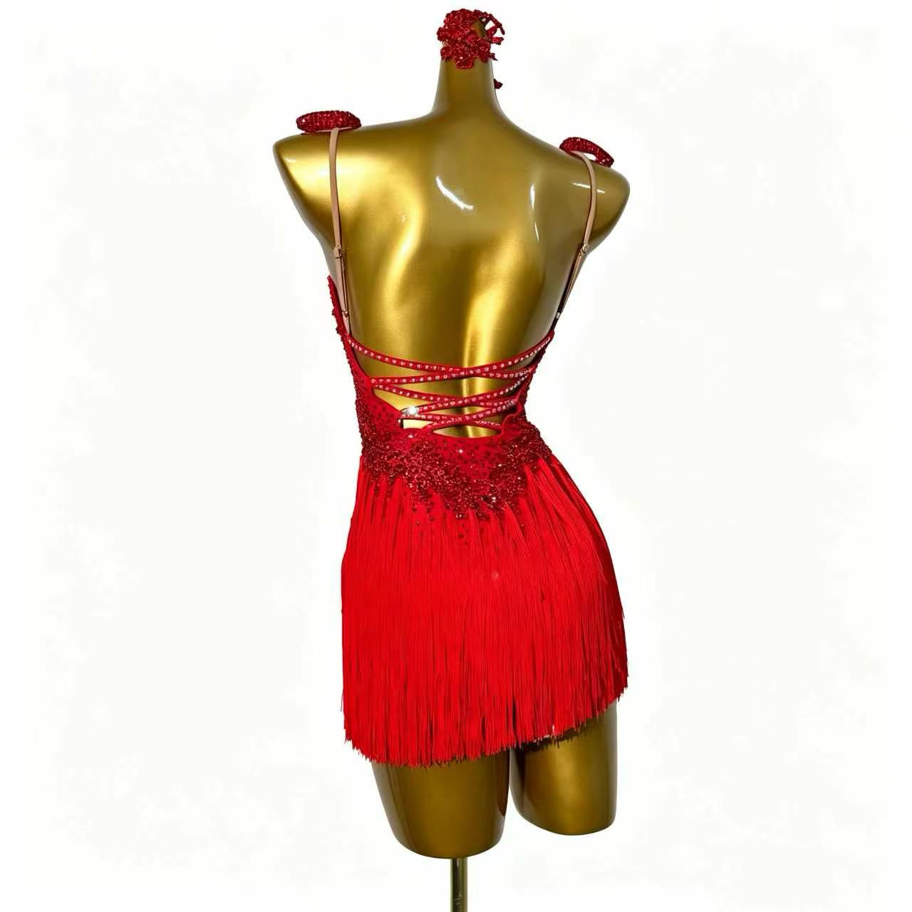 Custom Stage Shimmer Fringe Latin Competition Dress
