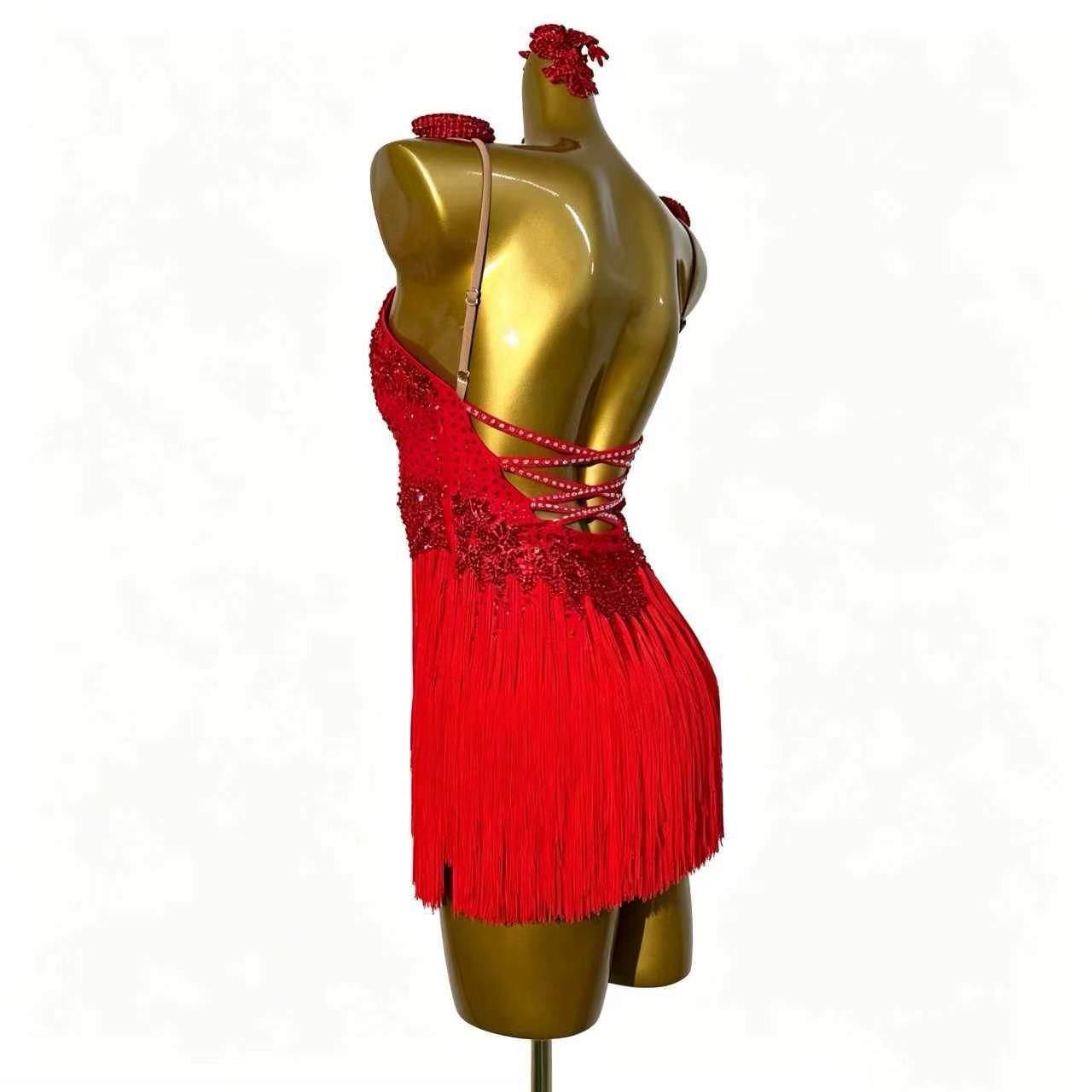 Custom Stage Shimmer Fringe Latin Competition Dress
