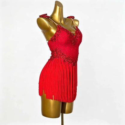 Custom Stage Shimmer Fringe Latin Competition Dress
