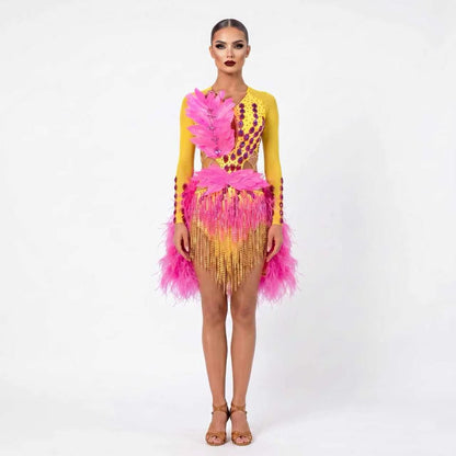 Custom Long Sleeve Feather Fringe Latin Competition Dress