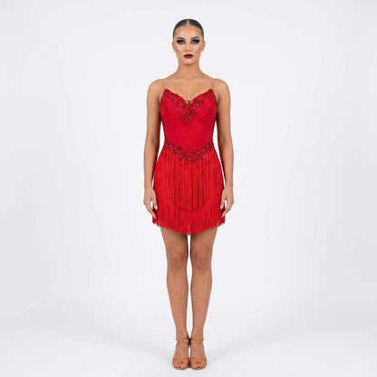 Custom Stage Shimmer Fringe Latin Competition Dress