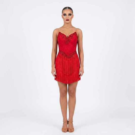 Custom Stage Shimmer Fringe Latin Competition Dress