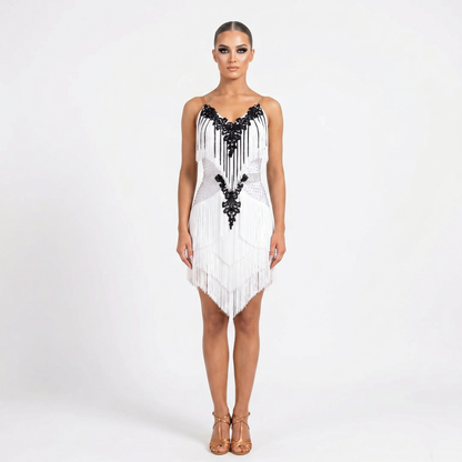 Custom Two Tone Lace Fringe Stage Latin Competition Dress