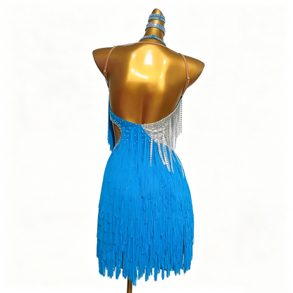 Custom Sky Blue Silver Lace Fringe Latin Competition Dress