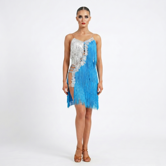 Custom Sky Blue Silver Lace Fringe Latin Competition Dress