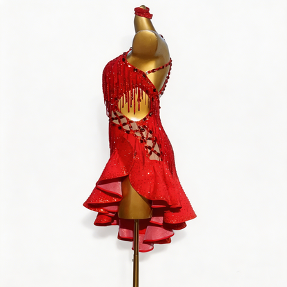 Custom Vivid Red Rhinestone Fringe Asymmetrical Ruffle Latin Competition Dress