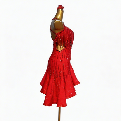 Custom Vivid Red Rhinestone Fringe Asymmetrical Ruffle Latin Competition Dress