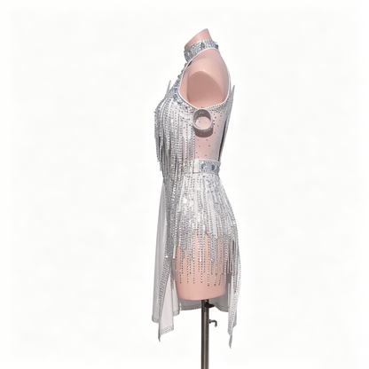 Custom Glistening Silver One Sleeve High Neck Fringe Latin Competition Dress