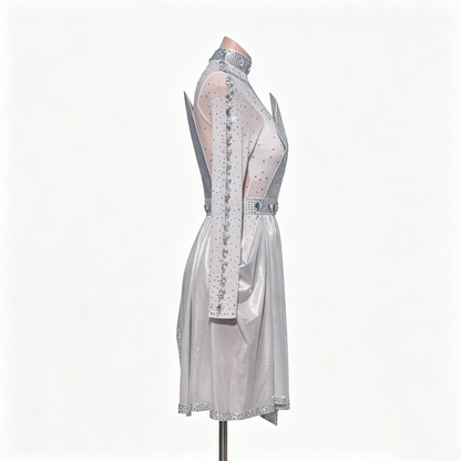 Custom Glistening Silver One Sleeve High Neck Fringe Latin Competition Dress