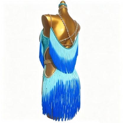 Customizable Dual Fringe Latin Dance Competition Dress