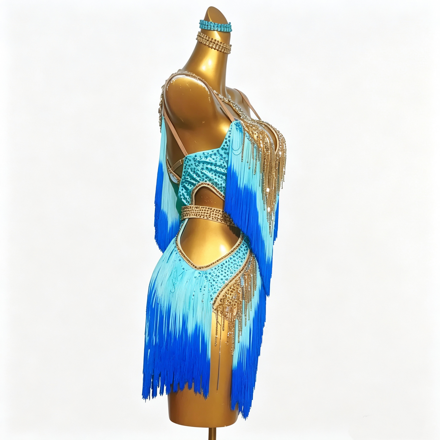 Customizable Dual Fringe Latin Dance Competition Dress