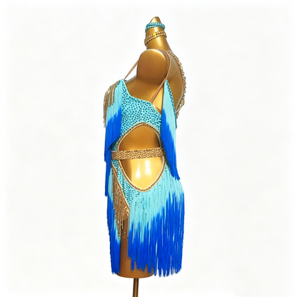 Customizable Dual Fringe Latin Dance Competition Dress