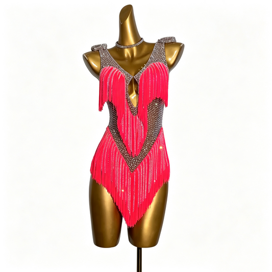 Sparkly Hot Pink Fringe Custom Latin Competition Costume