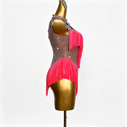 Sparkly Hot Pink Fringe Custom Latin Competition Costume