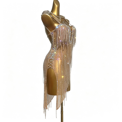 Customizable Gold Champagne Crystal Fringe Latin Dance Competition Dress