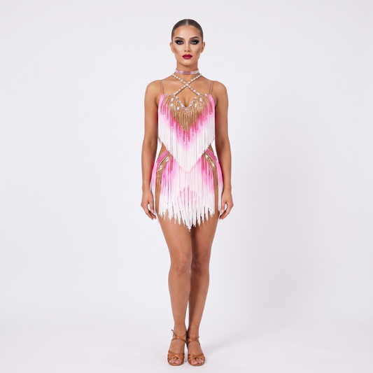 Custom Pink White Ombre Fringe Latin Dance Competition Dress