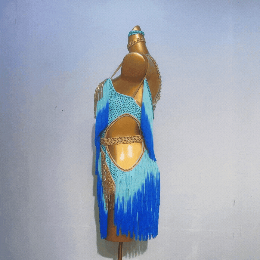 Customisable Dual Fringe Latin Dance Competition Dress