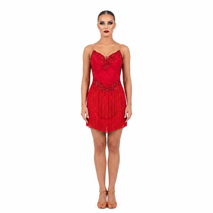 Custom Stage Shimmer Fringe Latin Competition Dress
