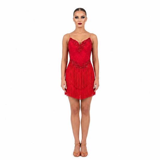 Custom Stage Shimmer Fringe Latin Competition Dress