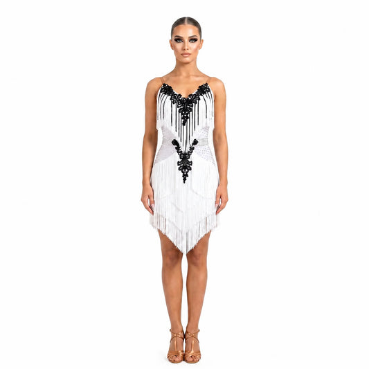 Custom Two Tone Lace Fringe Stage Latin Competition Dress