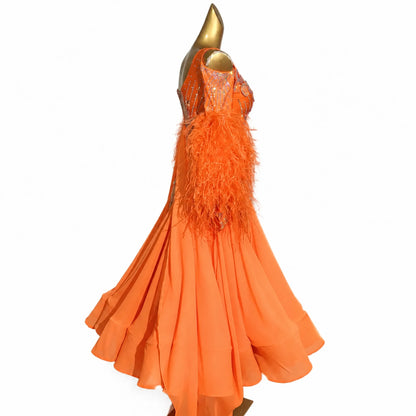 Customizable Feather Sleeve Crystal Ballroom Dance Competition Dress