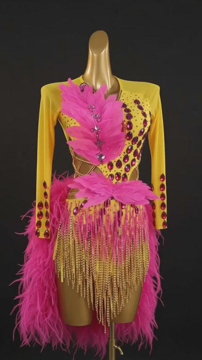 Custom Long Sleeve Feather Fringe Latin Competition Dress