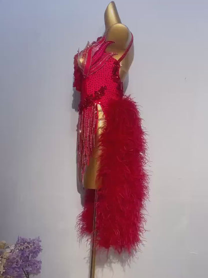 Custom Red Ostrich Feather Latin Competition Dress